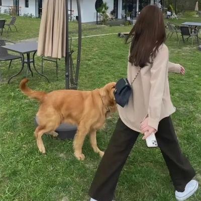 尼布拉斯加公主